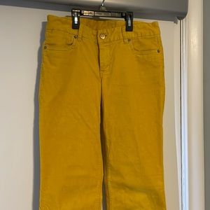 Bootcut corduroy pants